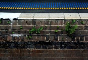 �˿�ǧ����Ƶ��Ƶ�������ϼ�ίһ�������α��ٱ�������(ͼ)...